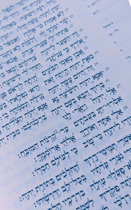 Hebrew Bible pale blue